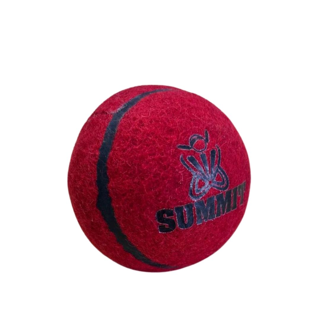Summit Bouncer Cricket Ball