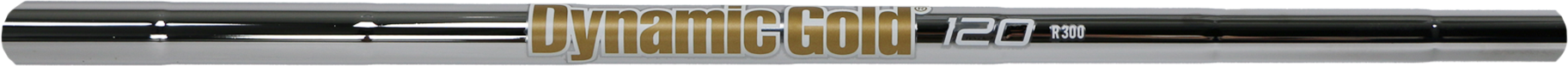Dynamic Gold 120