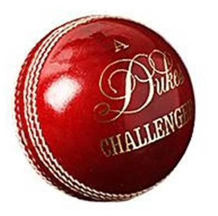 Dukes Challenger Cricket Ball - 156g