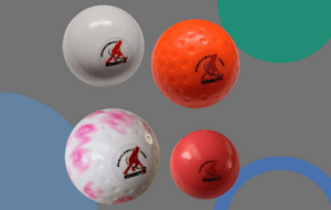 Sub Categories Ball Sports hockey