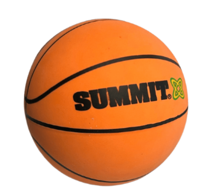 Summit High Bounce - Basketball